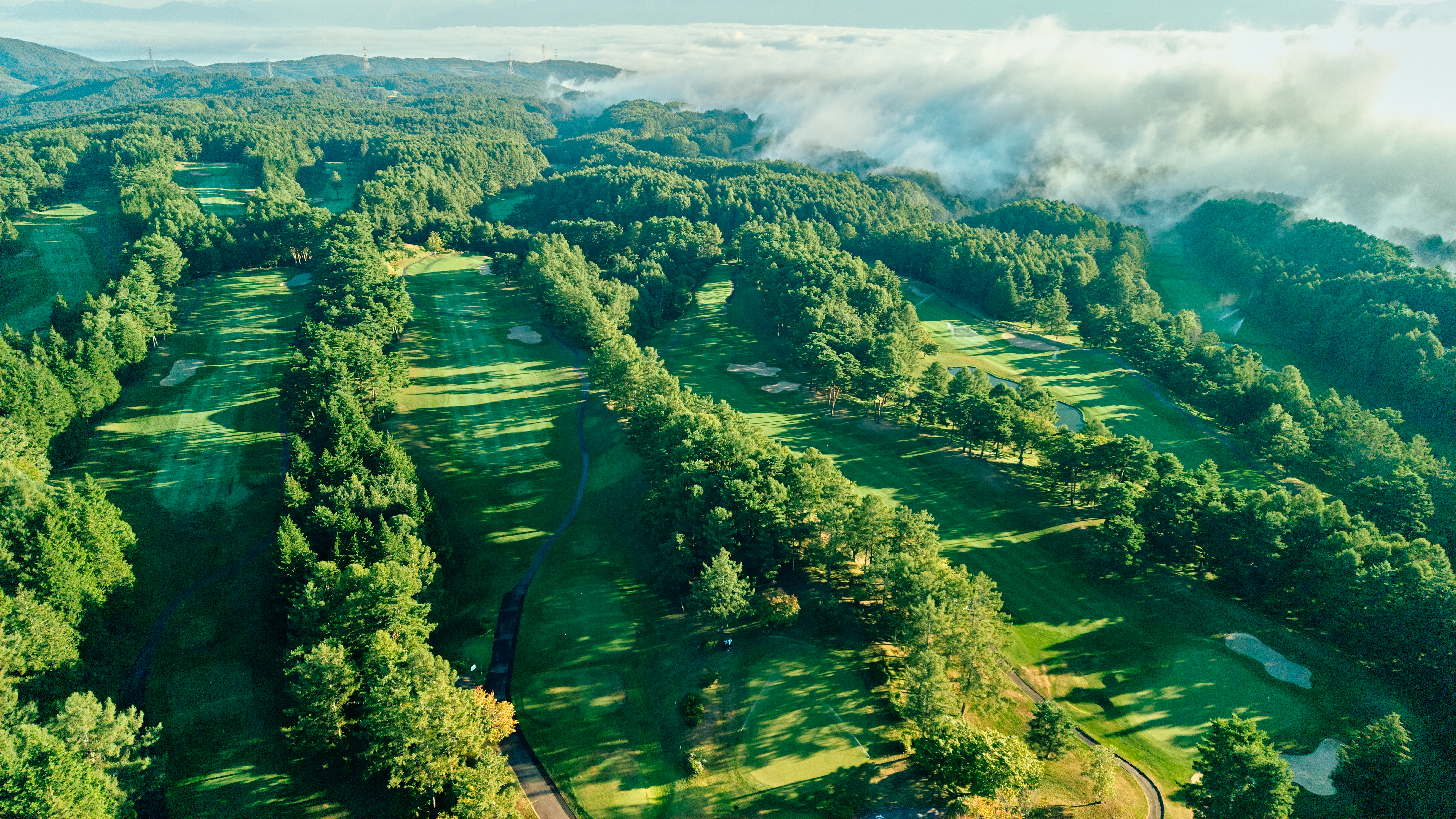 会員料金でプレー可能なコース風景