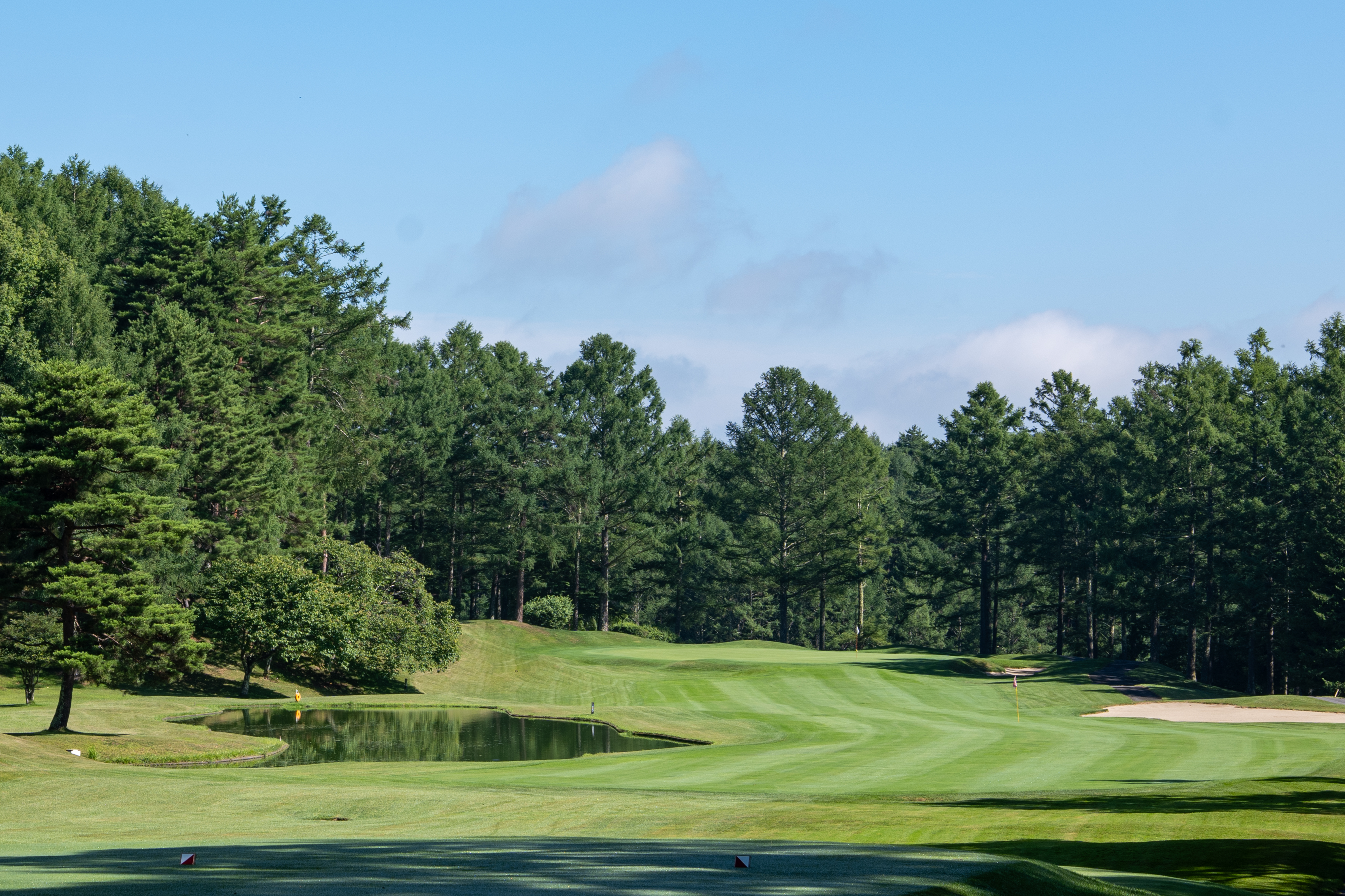 望月リソルゴルフクラブ フェアウェイ風景