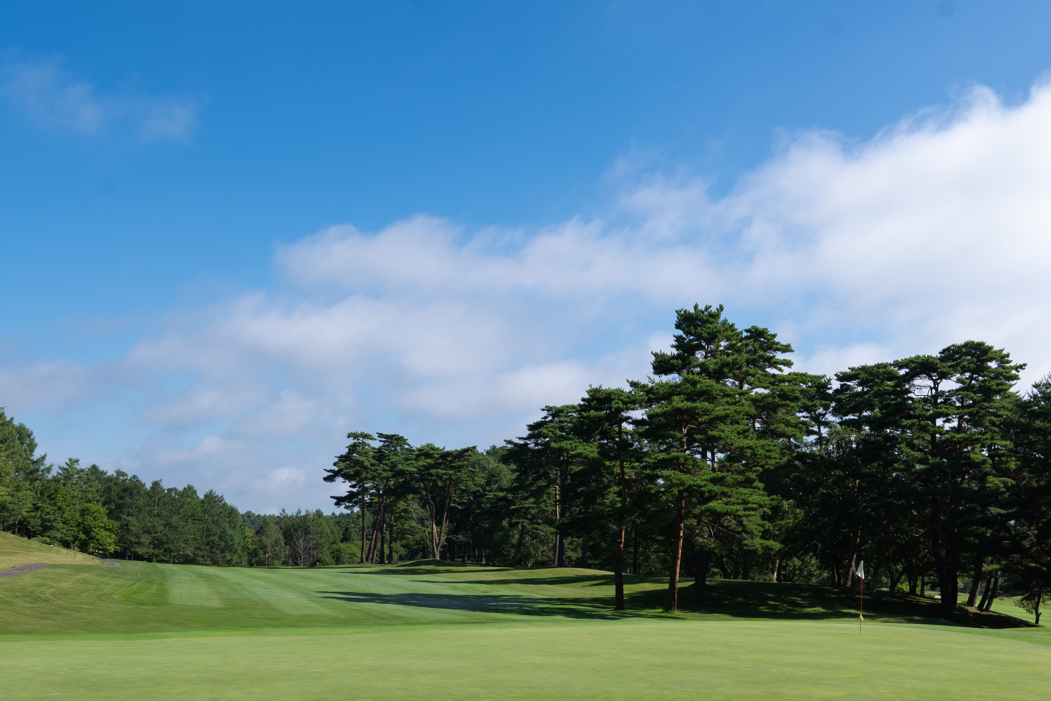 望月リソルゴルフクラブ グリーン風景