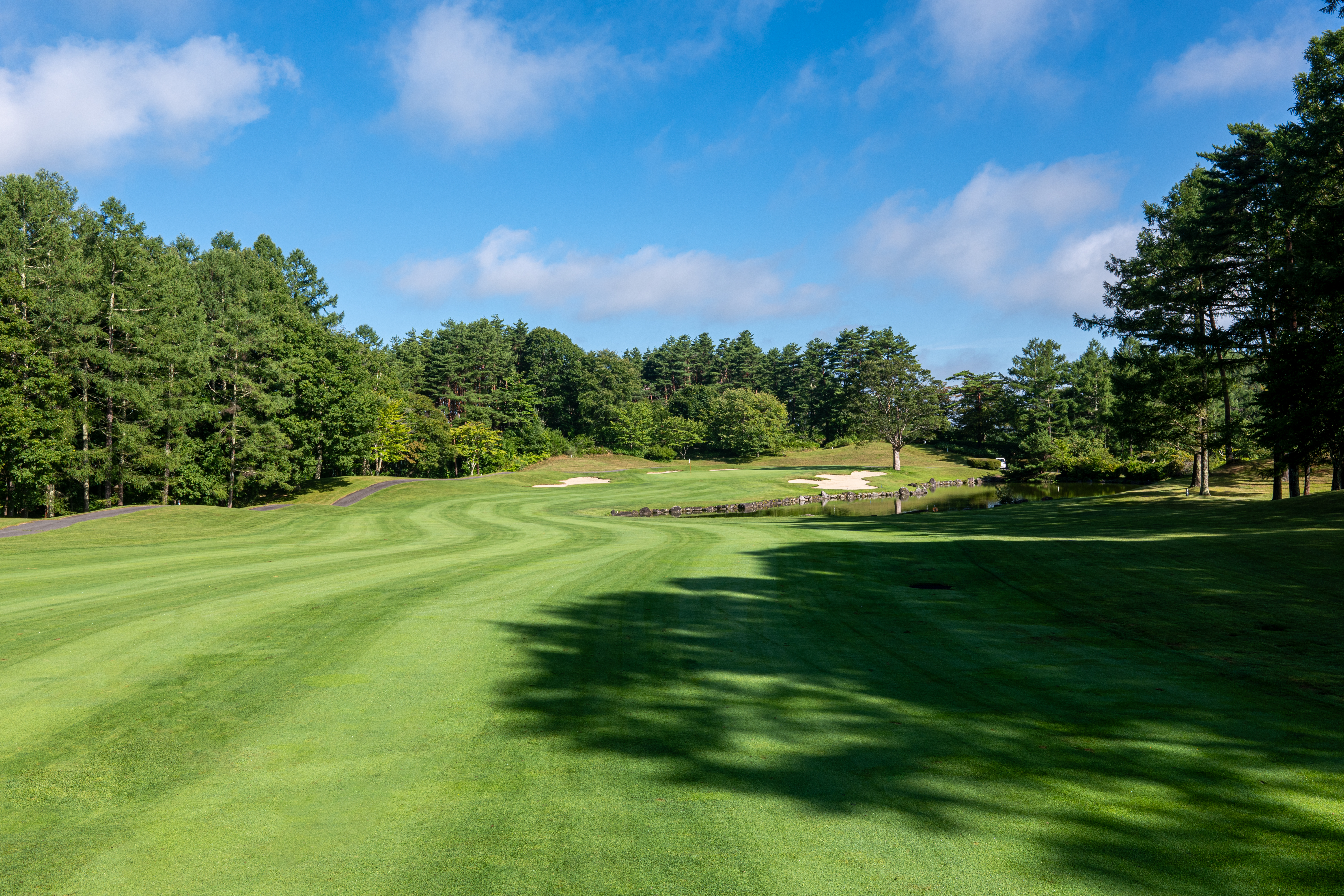 望月リソルゴルフクラブ コース全景